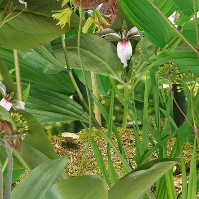 Center for Land Use Interpretation Field Session  at the Desert Research Station 